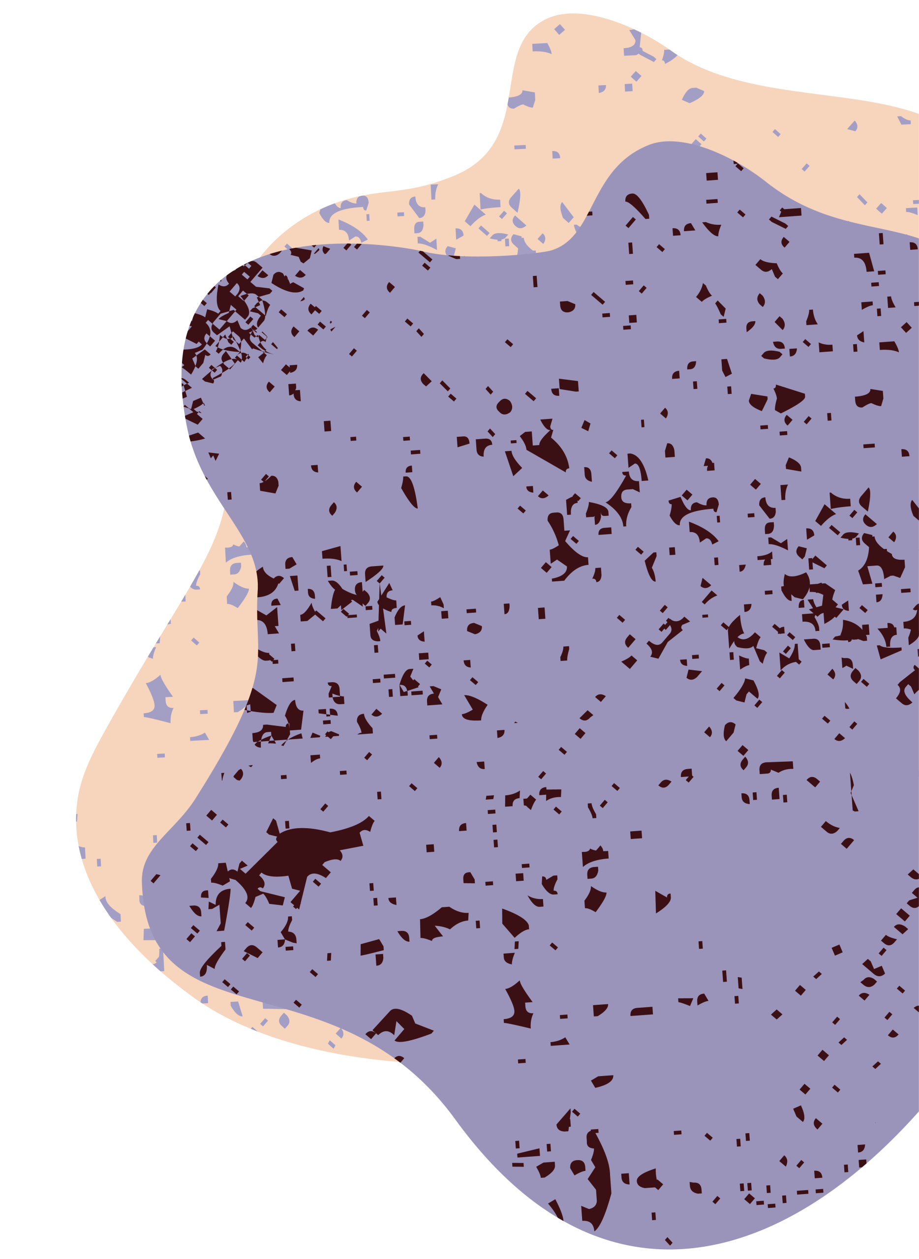 Asset 9@2x